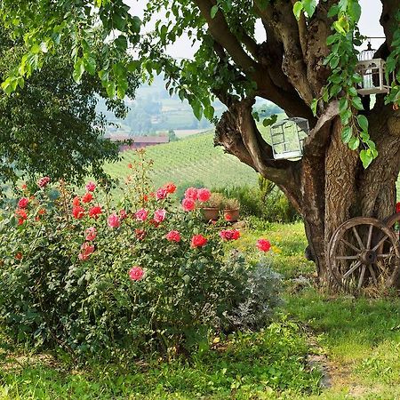 Agriturismo Albarossa Nizza Monferrato Luaran gambar