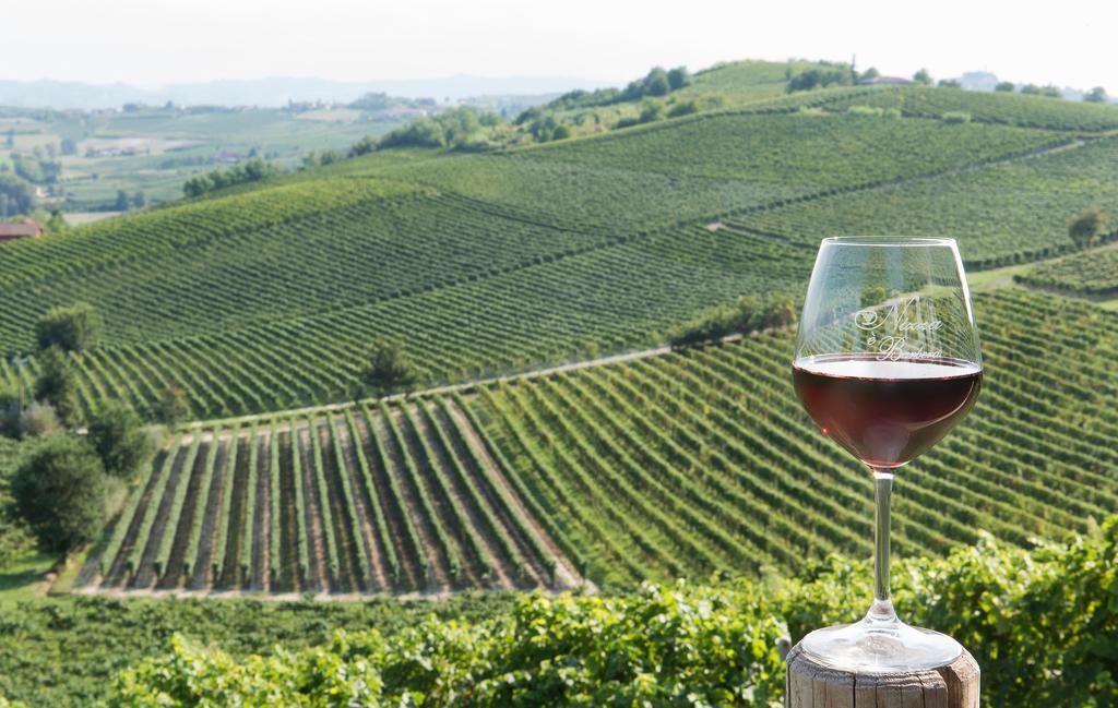 Agriturismo Albarossa Nizza Monferrato Luaran gambar