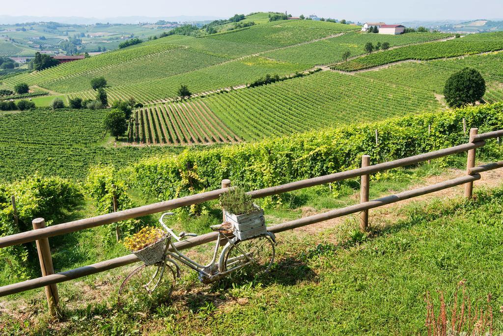 Agriturismo Albarossa Nizza Monferrato Luaran gambar