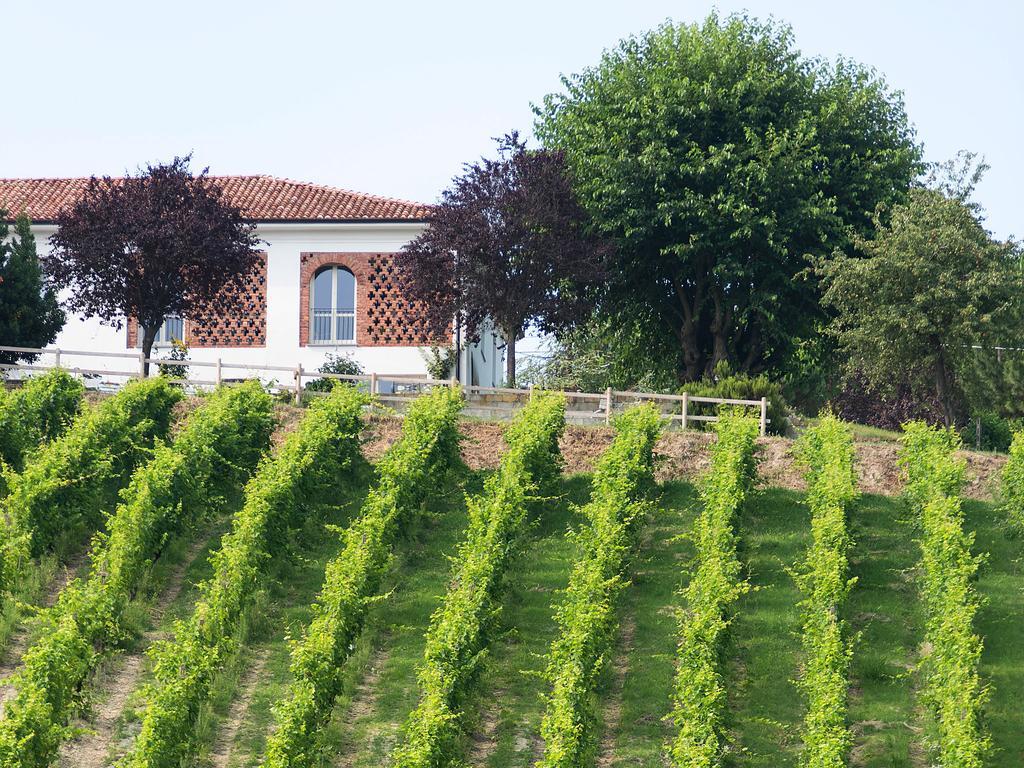 Agriturismo Albarossa Nizza Monferrato Luaran gambar