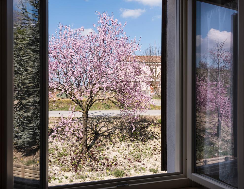 Agriturismo Albarossa Nizza Monferrato Luaran gambar