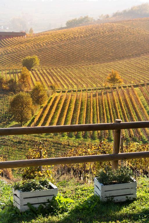 Agriturismo Albarossa Nizza Monferrato Luaran gambar