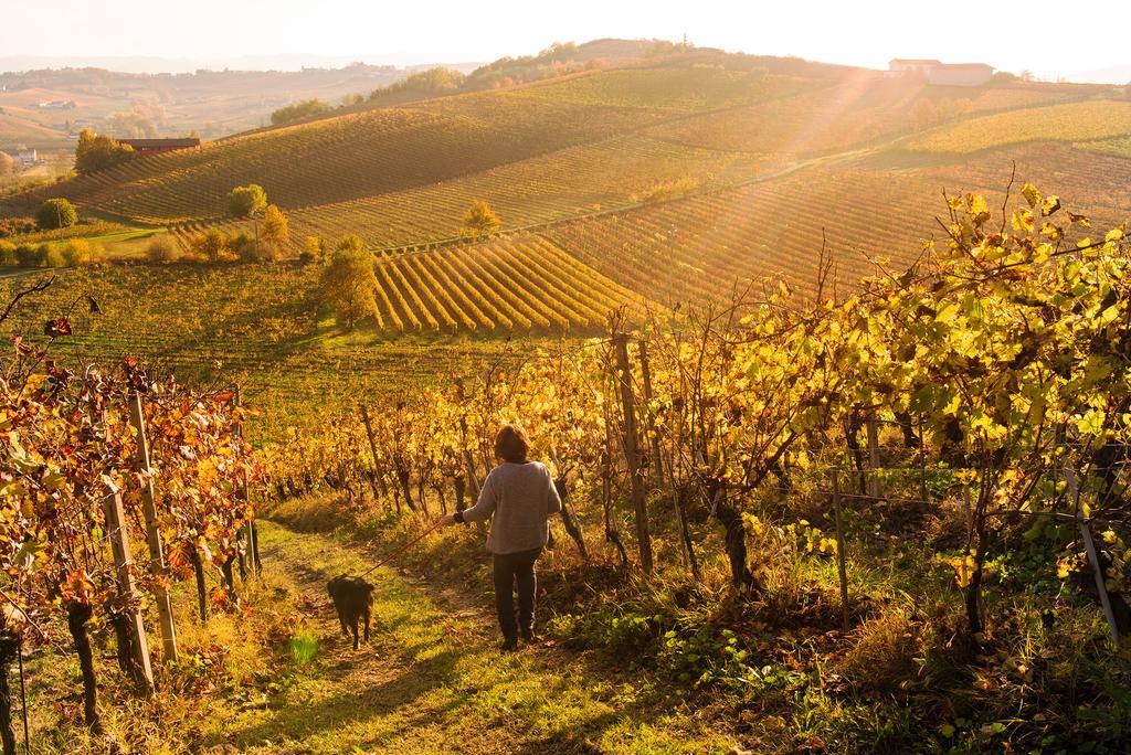 Agriturismo Albarossa Nizza Monferrato Luaran gambar