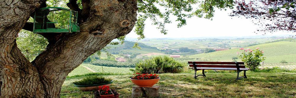 Agriturismo Albarossa Nizza Monferrato Luaran gambar