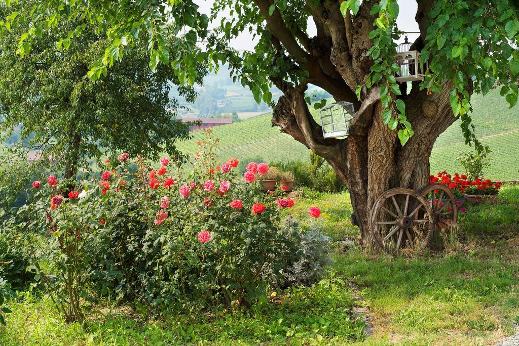 Agriturismo Albarossa Nizza Monferrato Luaran gambar