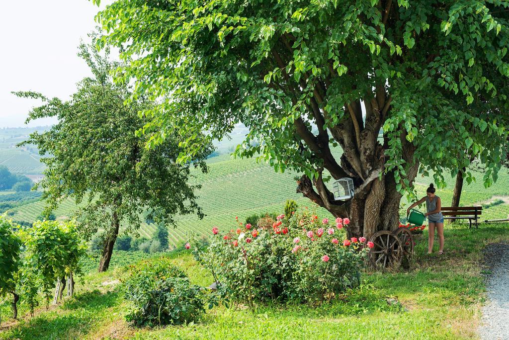 Agriturismo Albarossa Nizza Monferrato Luaran gambar