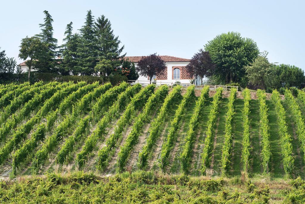 Agriturismo Albarossa Nizza Monferrato Luaran gambar